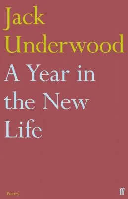 The cover of the book Year in the New Life by Jack Underwood
